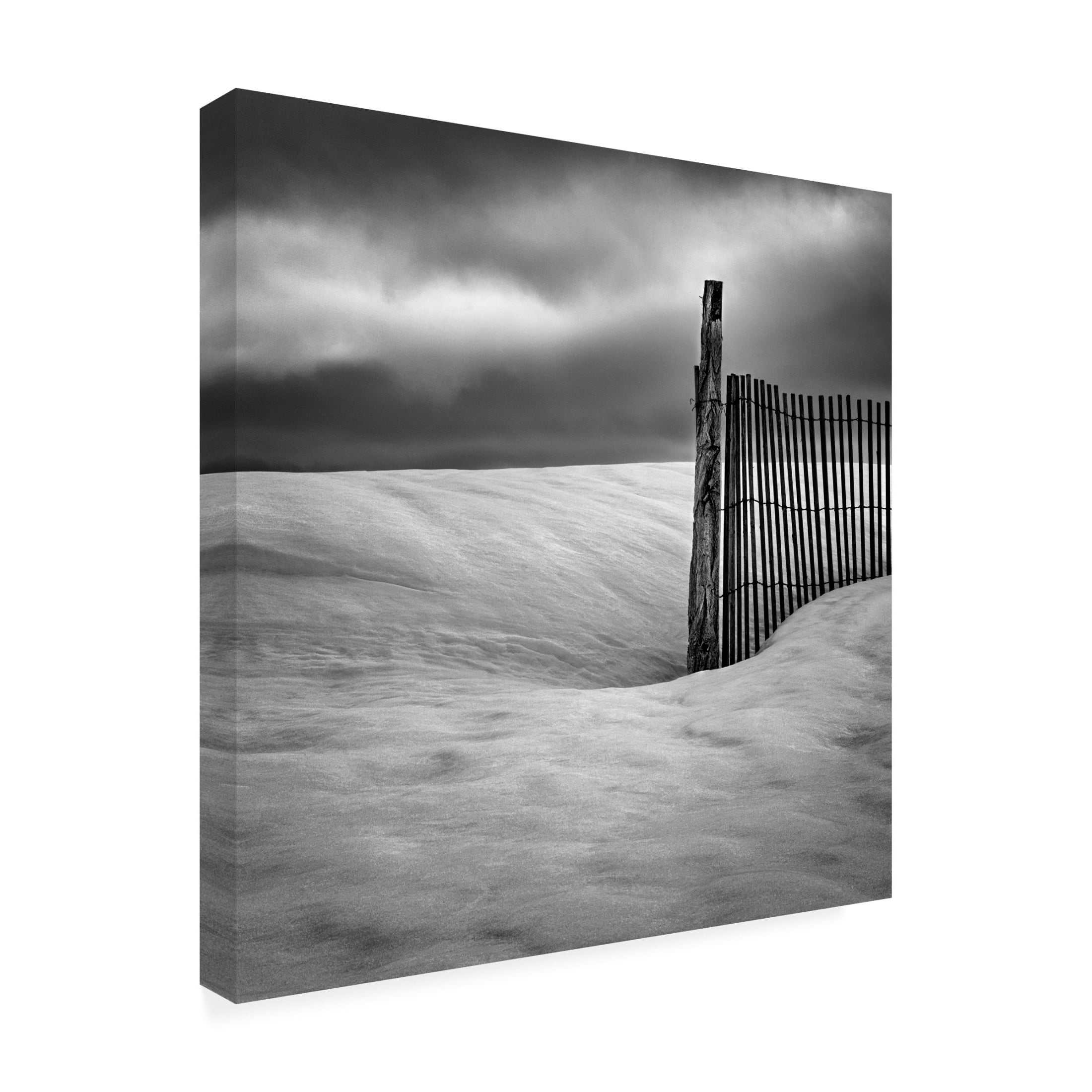 Trademark Fine Art Elisabeth van Helden Fence Canvas Wall Art