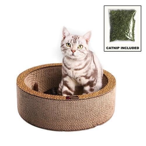 cat scratching bowl