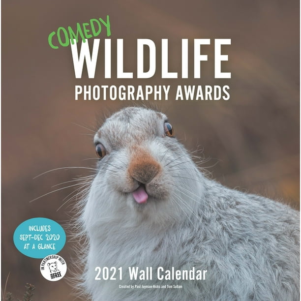 Comedy Wildlife 2021 Wall Calendar : (Funny Animal Monthly Calendar,  Calendar with Photographs of Wild Animals Doing Funny Things) (Calendar) -  