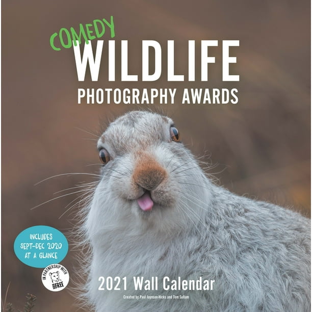 Comedy Wildlife 2021 Wall Calendar : (Funny Animal Monthly Calendar, Calendar with Photographs of Wild Animals Doing Funny Things) (Calendar) - Comedy Wildlife 2021 Wall Calendar : (Funny Animal Monthly Calendar, Calendar with Photographs of Wild Animals Doing Funny Things) (Calendar) -
