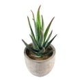 thumbnail image 3 of FENGGUIQU 2Ud Plantas Suculentas Artificiales De Plástico Para En Y Oficina, 3 of 8