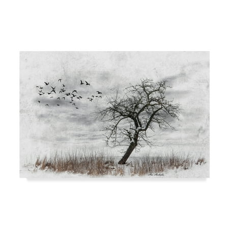 Dead 2 Art - Trademark Fine Art 'Dead Winter Tree 2' Canvas Art by Ata Alishahi