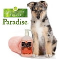 thumbnail image 4 of Scentament Spa Mandarine Jasmine Puppy Conditioner  16oz, 4 of 6
