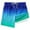 Sky Blue, variant on IWRICH Boys Swim Trunks with Compression Liner Kids Bathing Suit Swimwear,Size 5-16 Years Sky Blue 160