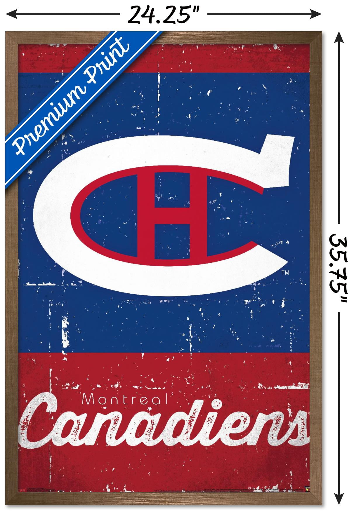 NHL Montreal Canadiens - Retro Logo 13 Wall Poster, 22.375" x 34", Framed