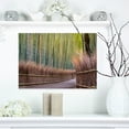 thumbnail image 1 of Pathway Inside Bamboo Forest - Forest Canvas Wall Art Print, 1 of 3