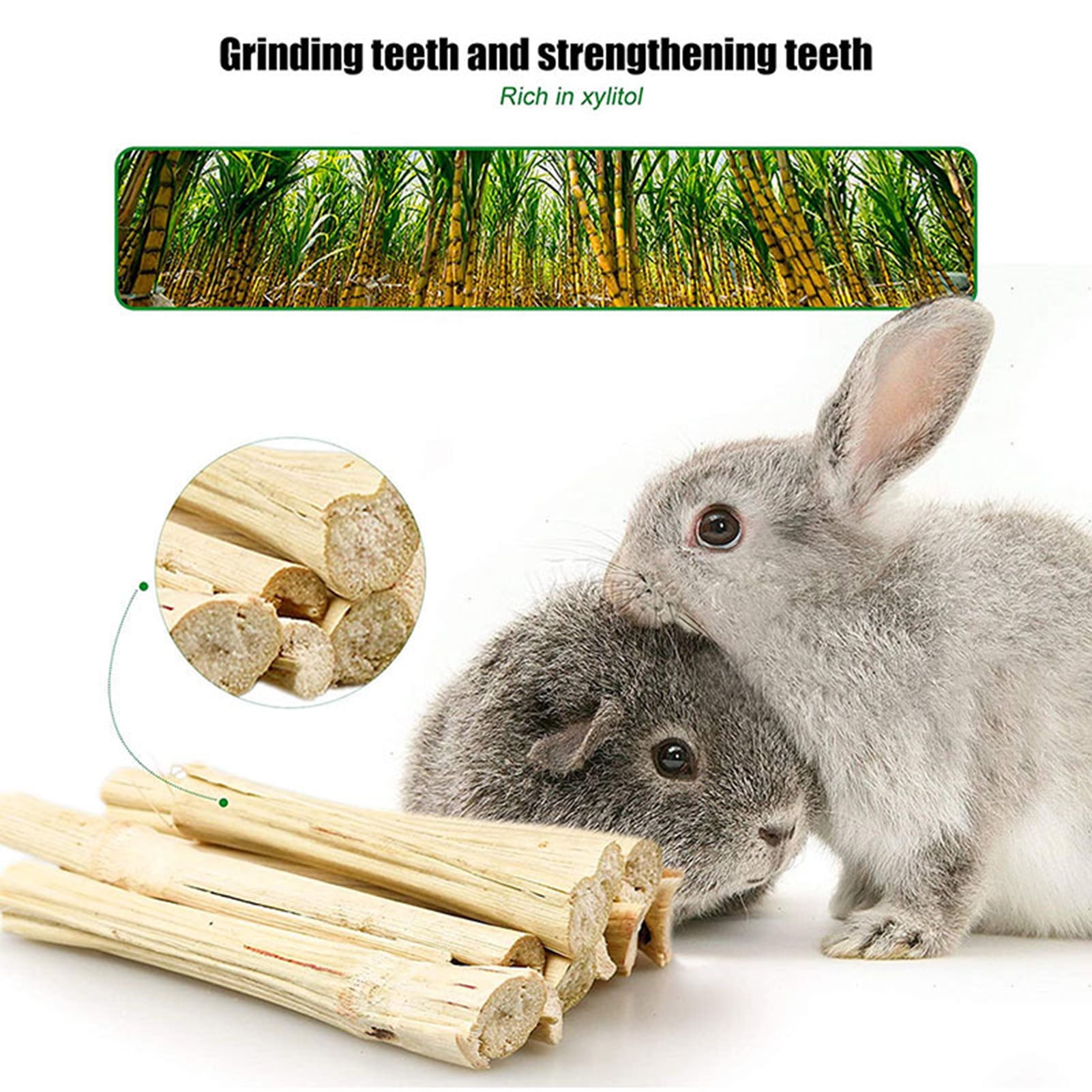 DOPI 8Pcs/Set Molar Toy Long Lifespan Relieve Anxiety Wood Hamster Molar Tooth Cleaning Toy Kit for Chinchillas