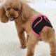 thumbnail image 2 of Mascotas Suministros Cómodo Cinta Mágica Breve Perros Peluche Perro perdiguero dorado Caminar P MABOTO Pantalón, 2 of 7