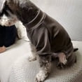thumbnail image 2 of TELOLY Dog Clothes All-Occasion Cozy Dog Coat Elastic-Bound Neckline Cute Dog Outfit Black, 2 of 4
