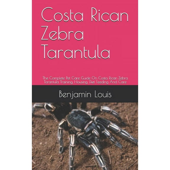 Costa Rican Zebra Tarantula : The Complete Pet Care Guide On Costa Rican Zebra Tarantula Training, Housing, Diet Feeding And Care (Paperback)