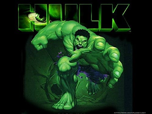 ~ Birthday Party Supplies Plastic Treat INCREDIBLE HULK ANIMATED FAVOR BAGS 8 