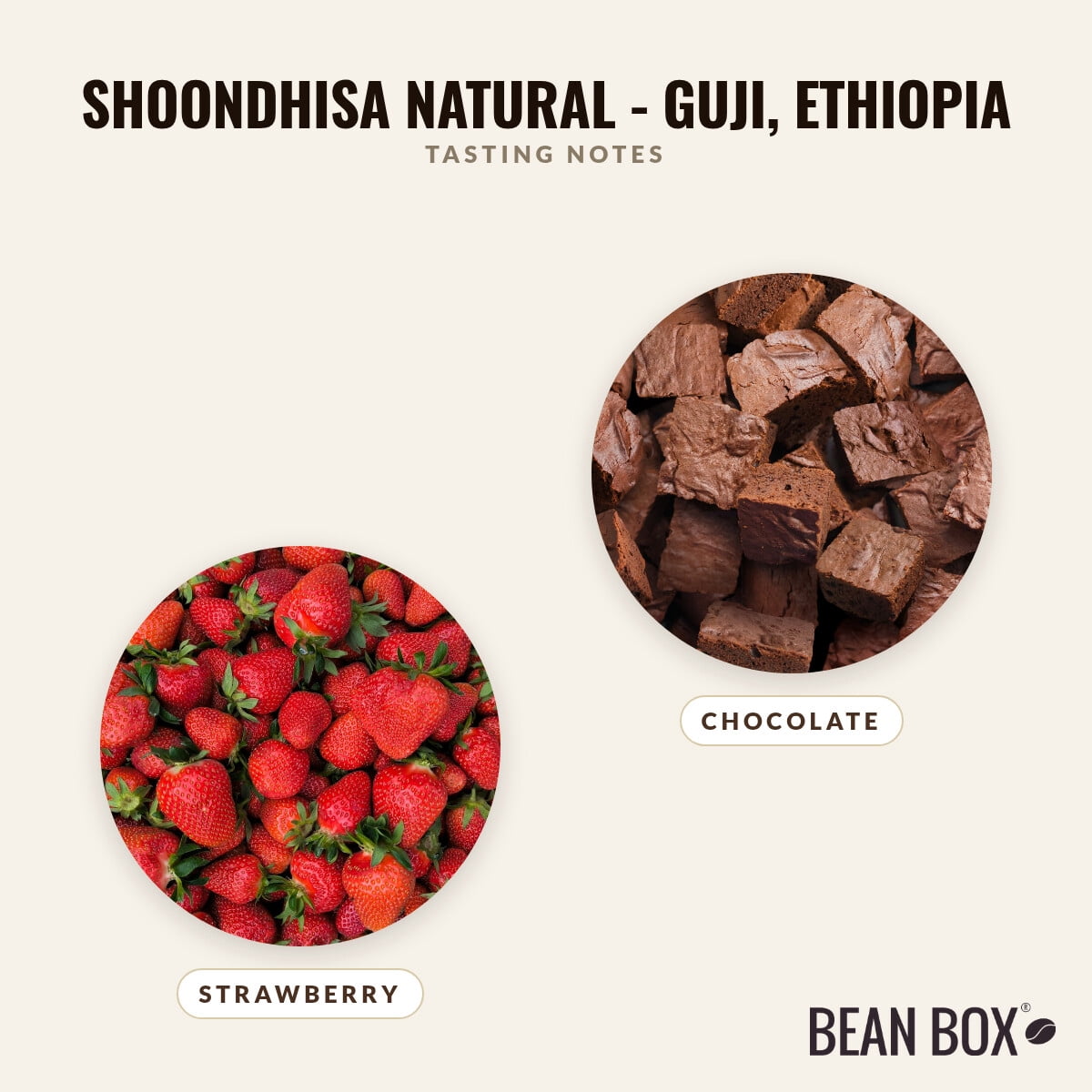 Shoondhisa Natural - Guji, Ethiopia - Roasted by Pavement Coffeehouse - Whole Bean Coffee - 2lb Bag