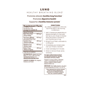The Tranquility Bundle - Liver Tea Supplement (Happy Liver Tea), Lung Tea Supplement (Happy Lung Tea), and Elderberry Tea Supplement
