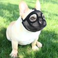 thumbnail image 1 of Dog Muzzle With Short Snout Adjustable Breathable Mesh Muzzle For English French Bulldogs Anti-bite Chewing, 1 of 5
