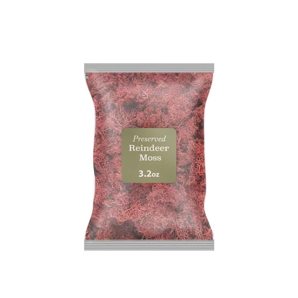 Pemberly Row Traditional Decorative 95g Preserved Reindeer Moss in Red