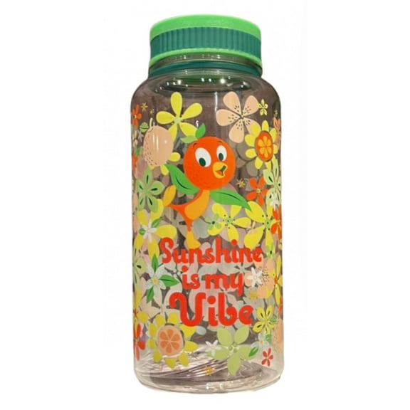 Disney Parks WDW Orange Bird Sunshine is my Vibe Water Bottle New with Tag