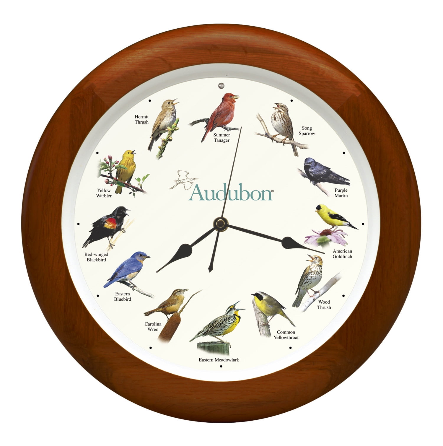Singing Bird Audobon On The Hour Cherry Finish 13 x 13 Solid Wood Wall Clock