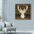 thumbnail image 3 of Trademark Fine Art 'Southwest Lodge Deer II' Canvas Art by Michael Mullan, 3 of 3