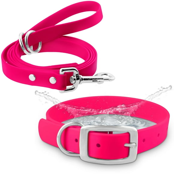 Regal Dog Products Small Pink Waterproof Dog Collar and Leash Set | Heavy Duty Double Buckle & D Ring - 5'ft Leash | Adjustable Biothane Dog Collar | Chew Resi