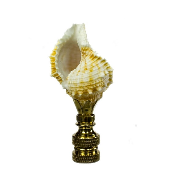 Bursa Sea Shell Lamp Finial with Polished Brass Base 2.25"h