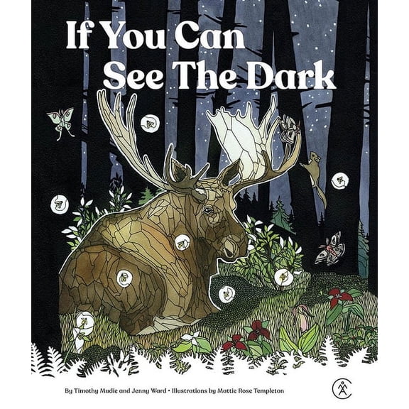 If You Can See the Dark, (Hardcover)