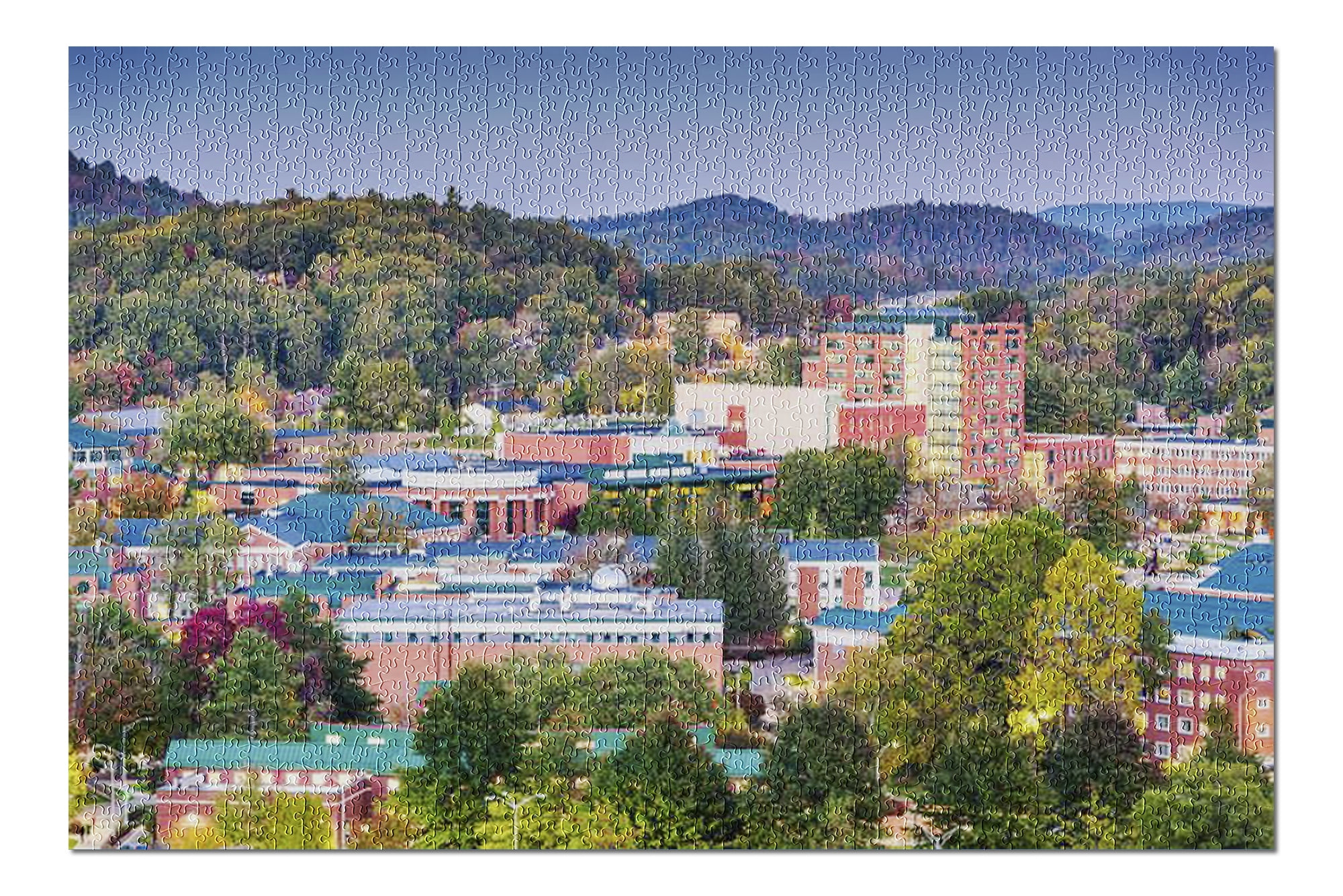 Boone, North Carolina Campus & Town Skyline 9011163 (20x30 Premium