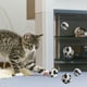 thumbnail image 2 of 5 pelotas de tenis envueltas en forma de animal, divertidas pelotas de juguete para gatos y gatitos., 2 of 5