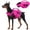 Rosered, variant on Kuoser Dog Life Jacket, Reflective Life Vest with Rescue Handle for Small Medium Large Dogs, Rosered, XL