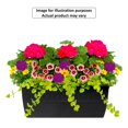 thumbnail image 1 of #24 Deck Rail Window Box Flowering Annuals, Assorted Colours & Varieties, Outdoor Live Plants for Home Garden, 1 of 2