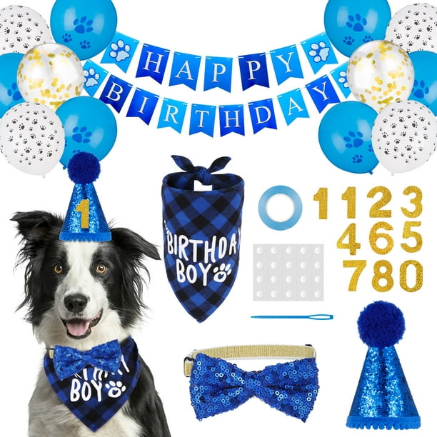 HEQUSIGNS Dog Birthday Boy, Dog Birthday Number Hat, Dog Birthday Boy ...