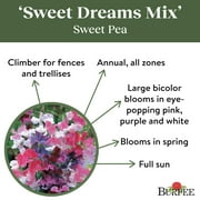 Burpee Sweet Dreams Mixed Colors Sweet Pea Flower Seed, 1-Pack