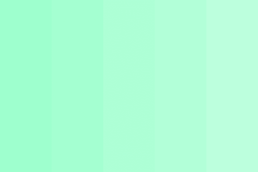 Mint