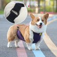 thumbnail image 2 of Bolsa para el vientre para perros, impermeable y resistente a la suciedad, ropa para mascotas, babero sólido para exteriores, para perros pequeños y medianos, 2 of 6