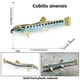 thumbnail image 3 of Peces Juguetes Animales del Océano Juguetes Goldfish Pecera Decoraciones Niños Juguetes Tots Juguetes Juguetes Adultos Juguetes Mini Juguetes Pez Pez, 3 of 7
