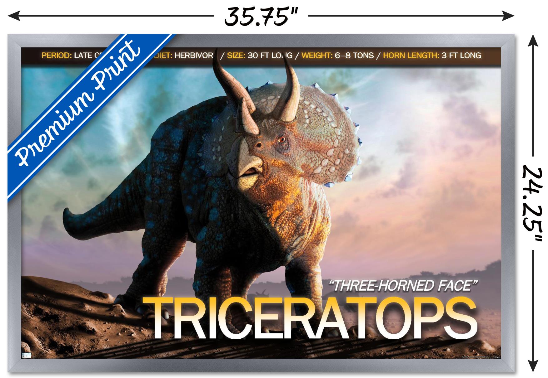 Dinosaurs - Triceratops Wall Poster, 22.375" x 34", Framed