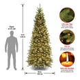 thumbnail image 3 of National Tree Company 10 ft. Pre-Lit Artificial Slim Christmas Tree, Tiffany Fir, Green, Clear Lights, Includes Stand, 3 of 4