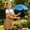 Blue-BU-clearacne, variant on Dyegold Adjustable Plants Shade Umbrella 25.6 inch Diameter Telescopic Garden Sun Protection Umbrella for Potted Plants Flowers Vegetables Outdoor Patio