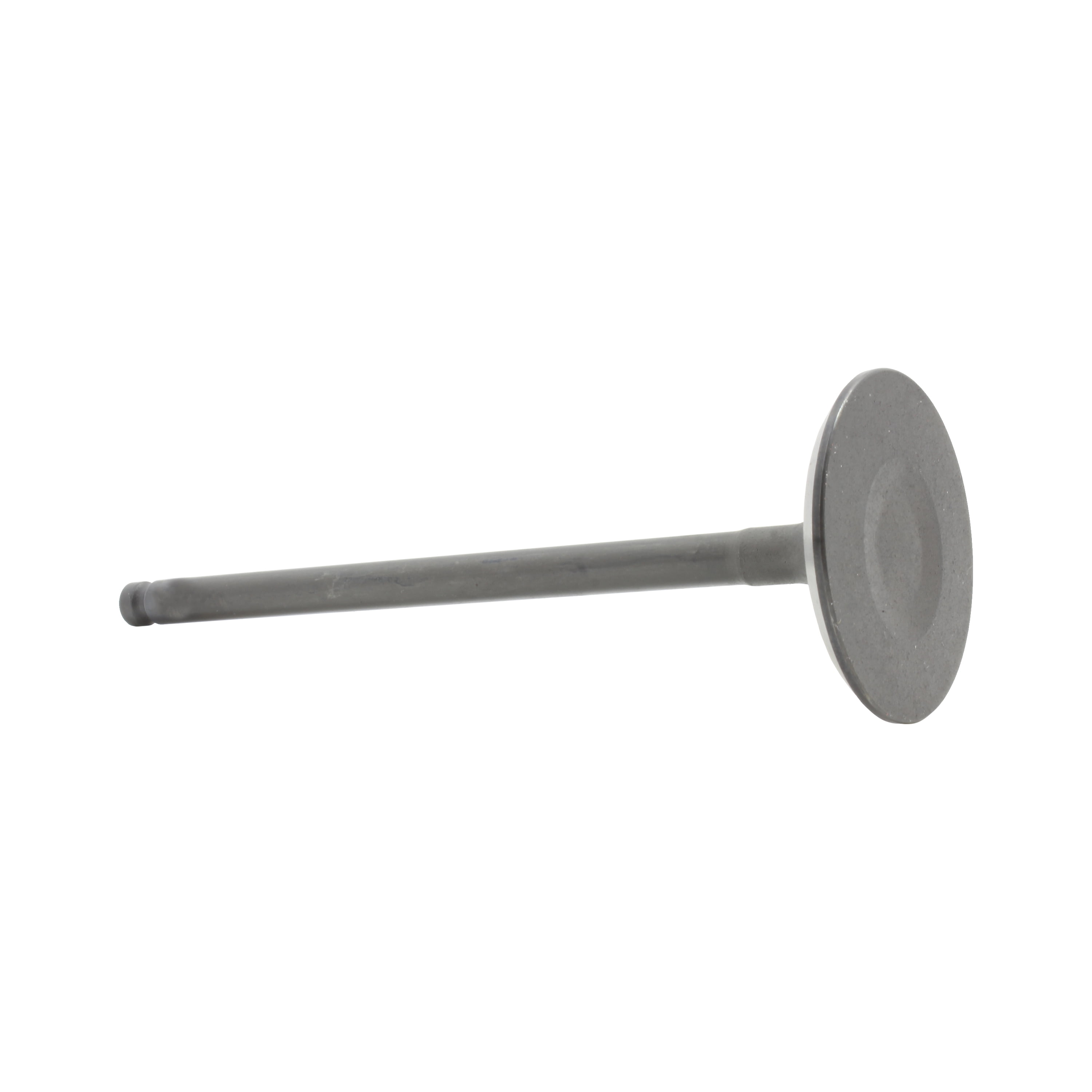 DNJ IV922 Intake Valve Fits Cars & Trucks 01-15 Lexus Pontiac Camry Corolla 2.0L L4 DOHC 16v