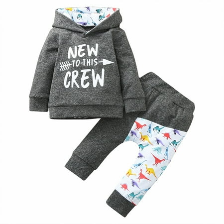 

Honeeladyy Newborn Baby Long Sleeve Dinosaur Printed Hoodie Sweatshirt Top+Long Pants Set Gray