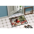 thumbnail image 5 of Carolines Treasures DAC2642MAT 0.15 x 18 x 27 in. Dachshund Cozy Christmas Doormat, 5 of 6