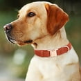 thumbnail image 3 of Engraved Leather Dog Collar with Reflective Padded Design and Secure Metal Buckle for Small Medium Large Breed Puppies, 3 of 3