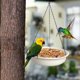 thumbnail image 1 of Comedero colgante para pájaros, bandeja decorativa, comedero multiusos para pájaros, cuenco de agua para patio, , exterior, loro, colibrí, 1 of 10