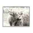 thumbnail image 4 of Stupell Industries Rustic Farm Highland Cattle Cow Monochrome Photography Photograph Gray Framed Art Print Wall Art, Design by Graffitee Studios, 4 of 5