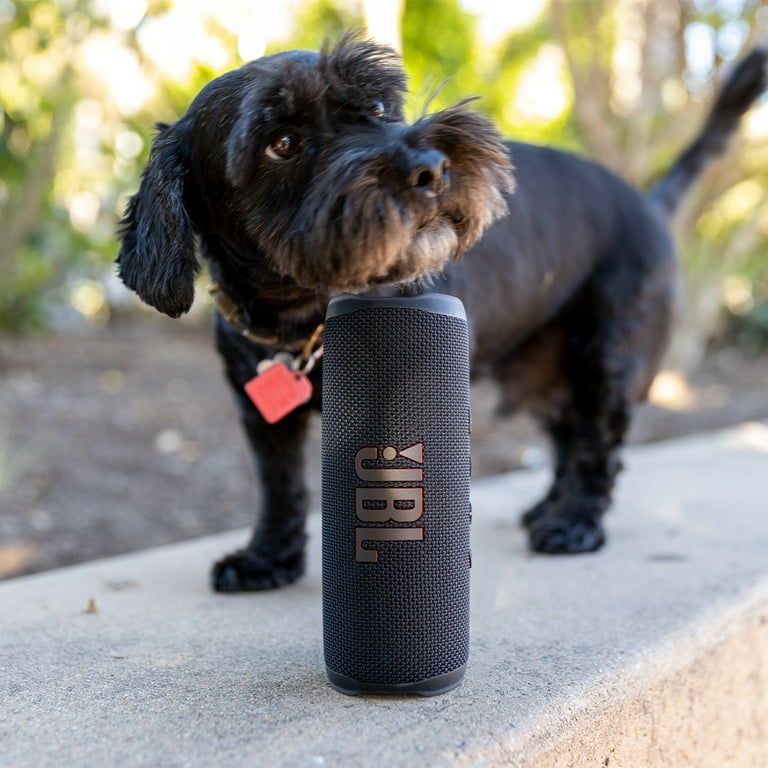 JBL Flip 6 portable waterproof bluetooth speaker