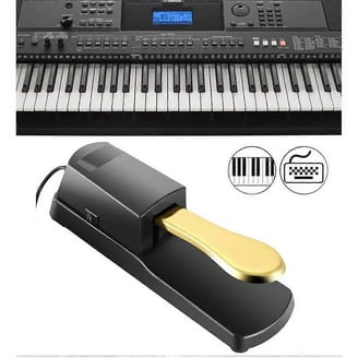 Casio Casiotone, 61-Key Portable Keyboard (CT-S100) - Walmart.com