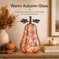 thumbnail image 5 of Diceymbol Halloween Lighted Gourd Pumpkin Lamp Orange Tabletop Decor for Mantel Shelf Seasonal Party Display 10 Inch, 5 of 8