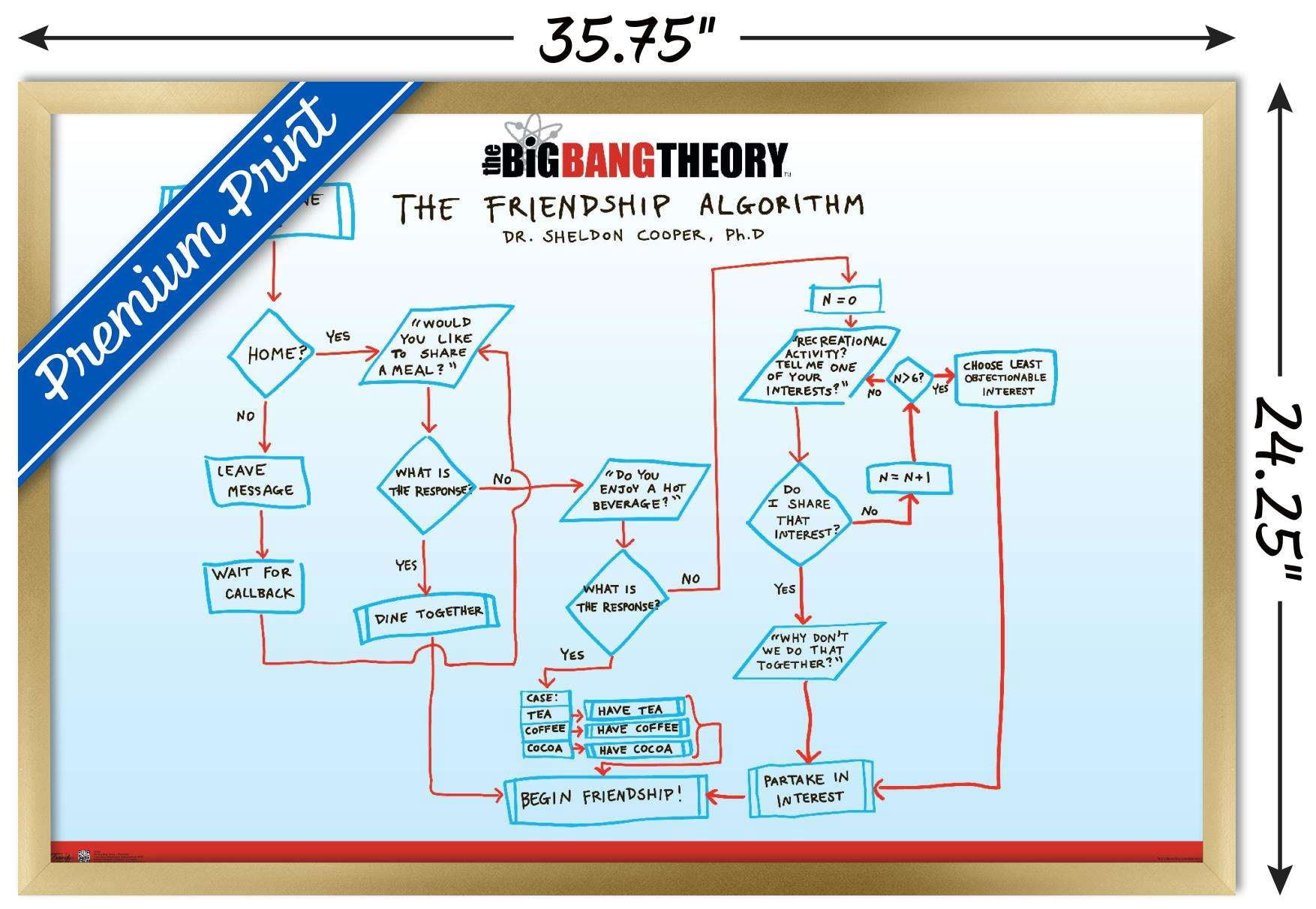 The Big Bang Theory - Friendship Wall Poster, 22.375" x 34", Framed