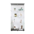 thumbnail image 5 of 4 Shelf and 2 Door Cabinet | Ideal for Living Room Decor. Showcase Items Clearly, 5 of 7