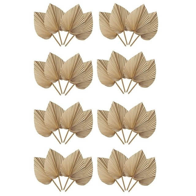 32 Hojas de Palma Secas Naturales Son Perfectas para DecoracióN de Hojas de Palma, DecoracióN , DecoracióN del Hogar, Bodas