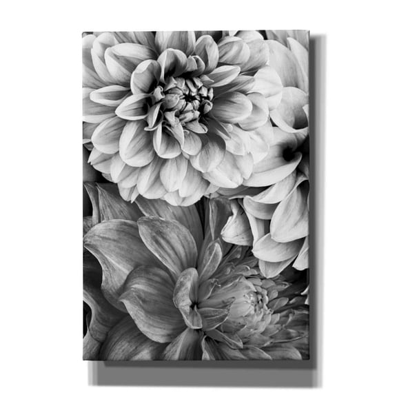 Epic Graffiti 'B&W Flower 2' by Incado, Giclee Canvas Wall Art, 18"x26"